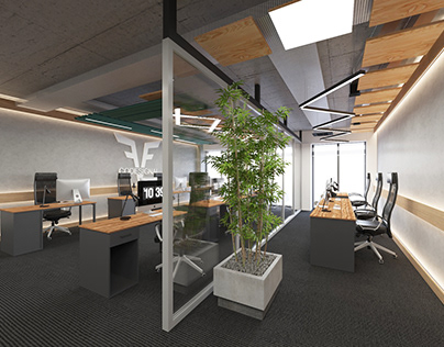 Office Design for IT company