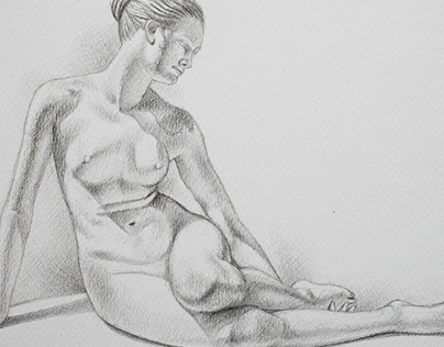 Anatomic pencil drawing