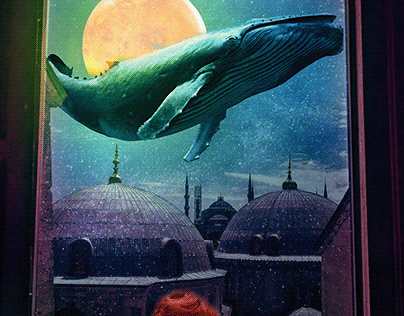 whale night