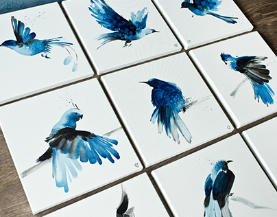 "BLUE BIRDS" - Interior Project