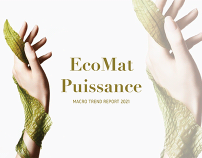 EcoMat Puissance: Macro Trend Report