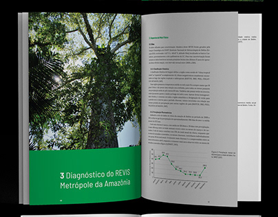 Design Plano de Gestão REVIS Metrópole da Amazônia