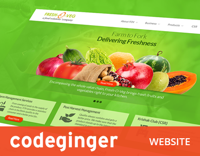 Codeginger Website
