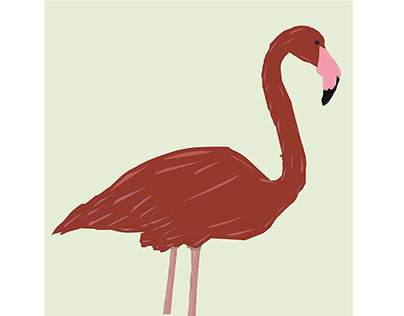 Flamingo (Vector) Using Pen Tool