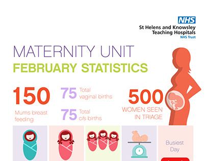 Maternity Infographic