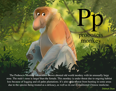 P is for Proboscis Monkey