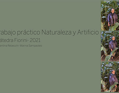 Naturaleza y Artificio- Cátedra Fiorini I 2021