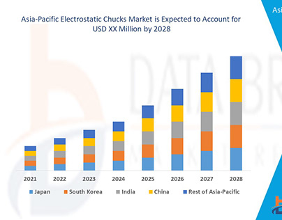 Asia-Pacific Electrostatic Chucks Market Report