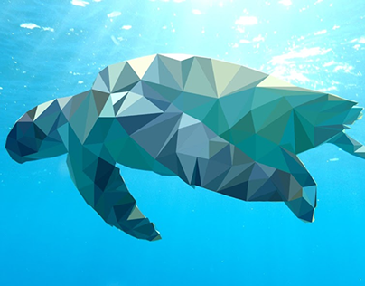 Low Poly Turtle