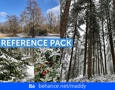 Winter Photo Reference Pack for Subscribers