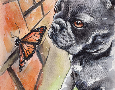 French Bulldog And Butterfly