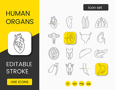 Human organs, line icons set