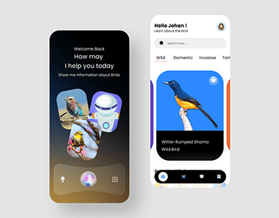 Birds information AI concept app