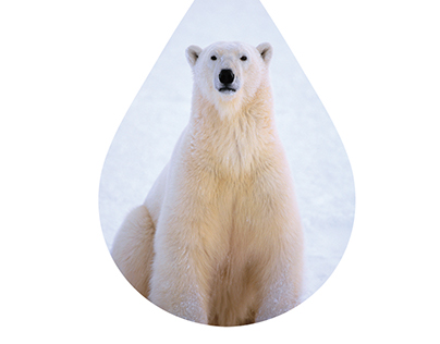Save The Arctic Poster