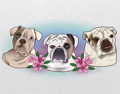 Dogs illustration