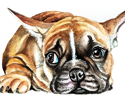 Custom watercolor pet portrait, memorial portrait