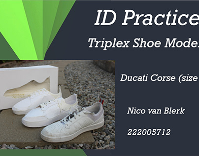 Triplex shoe project