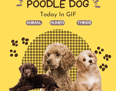 Poodle DOG-GIF