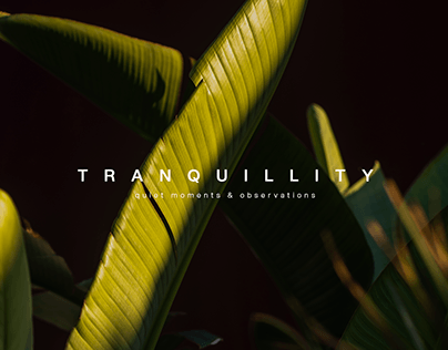 Moments of Tranquillity