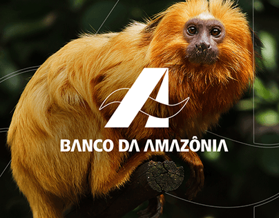 Apresentação - Banco da Amazônia