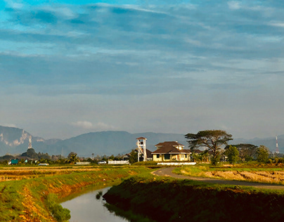 River through rice fields