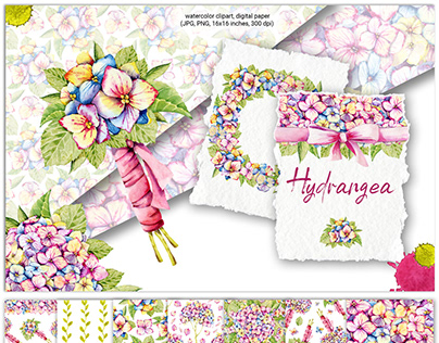 Hydrangea. Watercolor clipart, digital paper