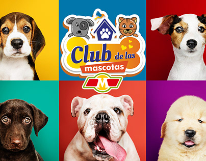 Club de las mascotas Diseño