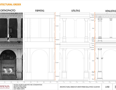 Santa Maria Della Pace / Architectural Order