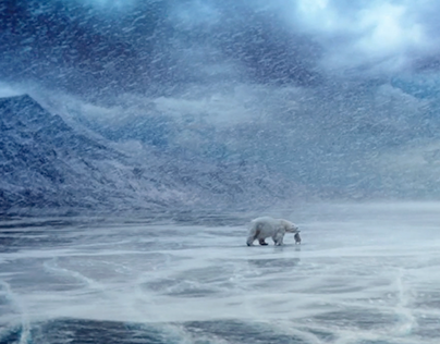 Storytelling/Animals/VFX. Polar Bear Beer.