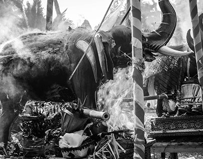 Cremation, Ubud, Bali
