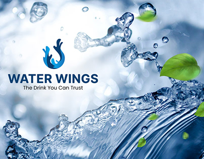 Water Wings Logo | Brand Identity | Logo Design