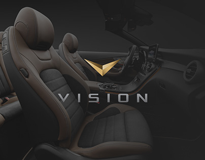 Vision - Identity, Catalogue, Website