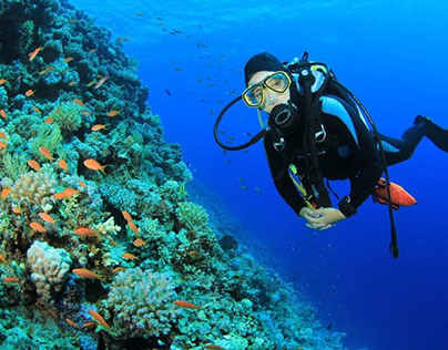 Michael Van Eaton Lists the Best Places to Scuba Dive