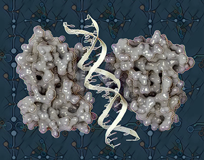 SAMD9-DNA complex