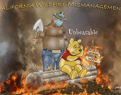 California Wildfire Editorial Cartoon