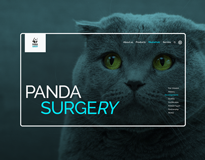 Veterinary website design