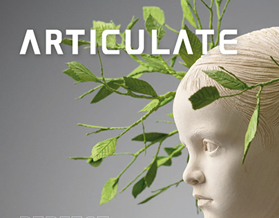 ARTICULATE 35 | Perfect Imperfections