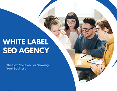 With A Leading White Label SEO Agency