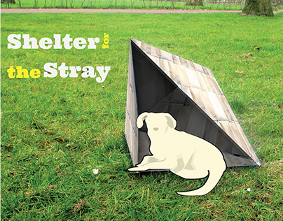 Shelter for the Stray