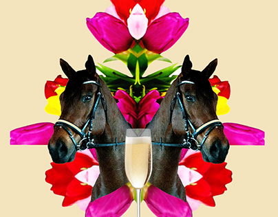 Melbourne Cup Posters