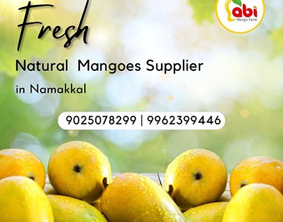 Order Mangoes home With Delivery Service in Tamilnadu.