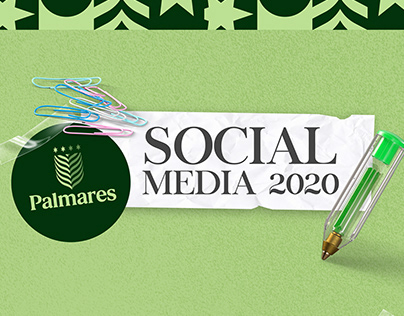 Social Media - Colegio Palmares 2020
