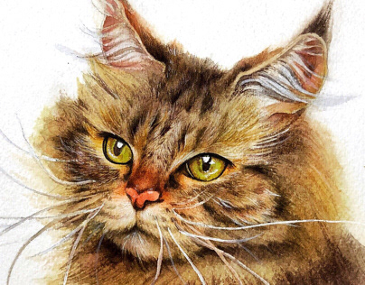 Siberian Cat Watercolor Illustration