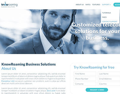 KnowRoaming Business Solutions Website Mockup
