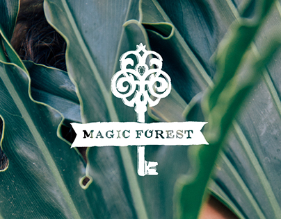 Magic Forest Branding