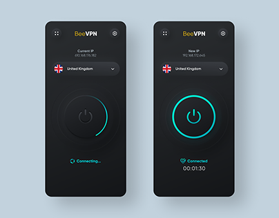 VPN Mobile App Concept