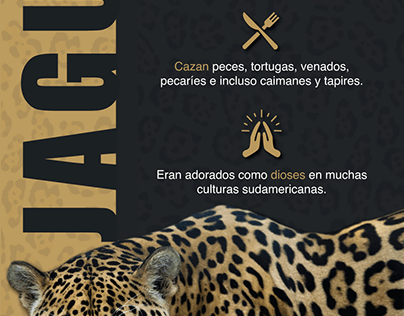 Jaguar Facts Digital Flyer