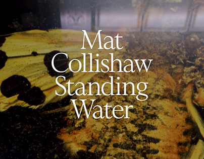 Mat Collishaw