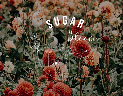 Sugar bloom