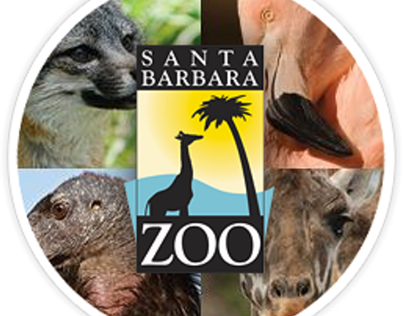 Santa Barbara Zoo Unveils Live Webcams on Condor Nests